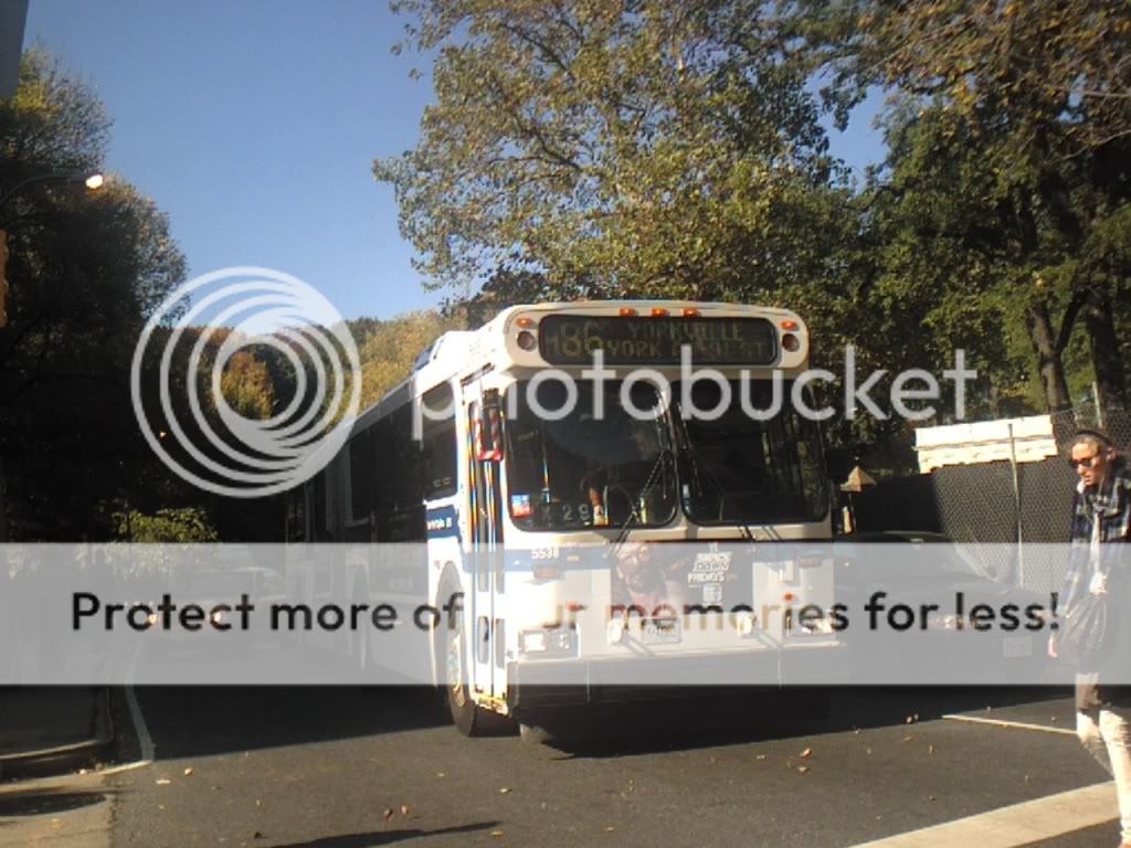 NYCT and MTA Bus (with one Boathouse Trolley taken with MTA Bus MCI